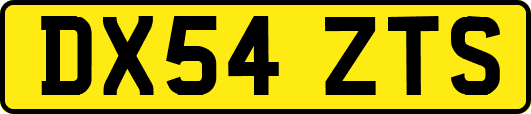 DX54ZTS