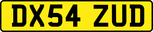 DX54ZUD