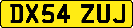 DX54ZUJ