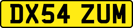 DX54ZUM