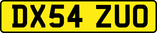 DX54ZUO