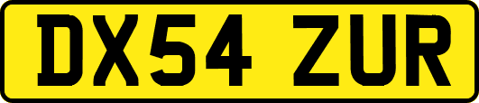DX54ZUR