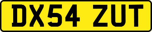 DX54ZUT
