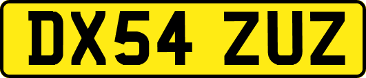 DX54ZUZ