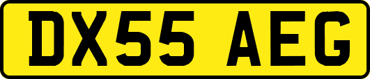 DX55AEG