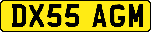 DX55AGM