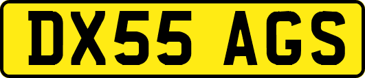 DX55AGS