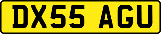 DX55AGU