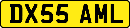 DX55AML