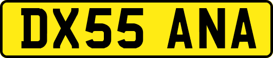 DX55ANA