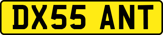 DX55ANT