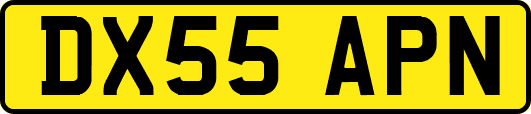 DX55APN