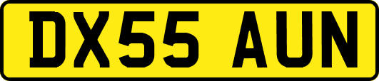 DX55AUN