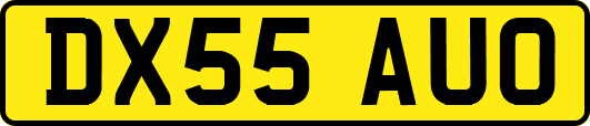 DX55AUO