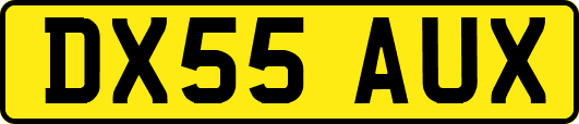 DX55AUX