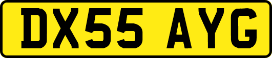 DX55AYG