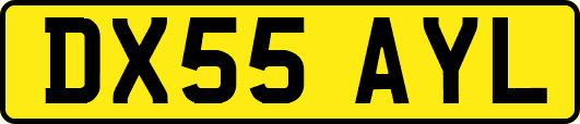 DX55AYL