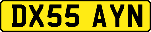 DX55AYN