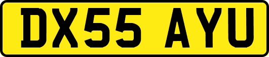 DX55AYU