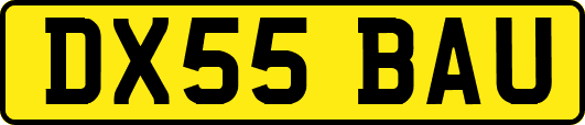 DX55BAU