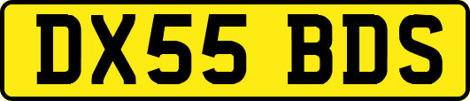 DX55BDS