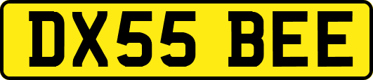 DX55BEE