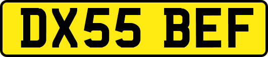 DX55BEF