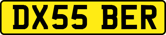 DX55BER
