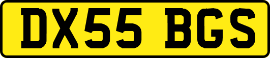 DX55BGS