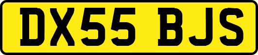 DX55BJS