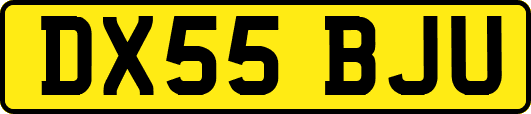 DX55BJU