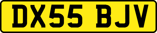 DX55BJV