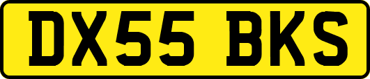 DX55BKS