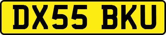 DX55BKU
