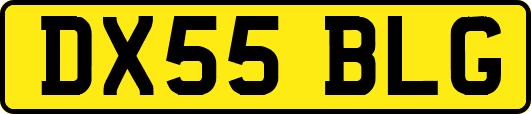 DX55BLG