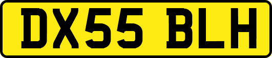 DX55BLH