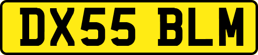 DX55BLM