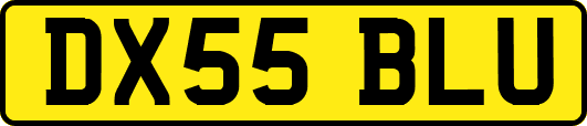 DX55BLU