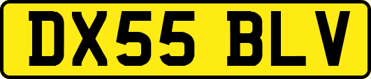 DX55BLV