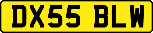 DX55BLW
