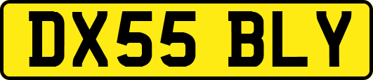 DX55BLY