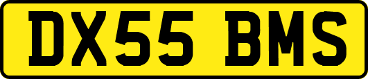 DX55BMS