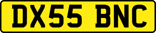 DX55BNC