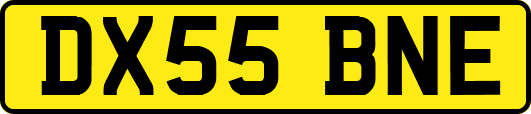 DX55BNE