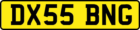 DX55BNG