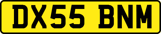 DX55BNM