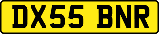 DX55BNR