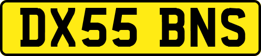DX55BNS