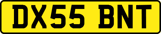 DX55BNT