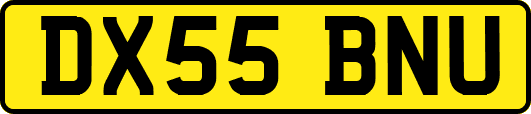 DX55BNU
